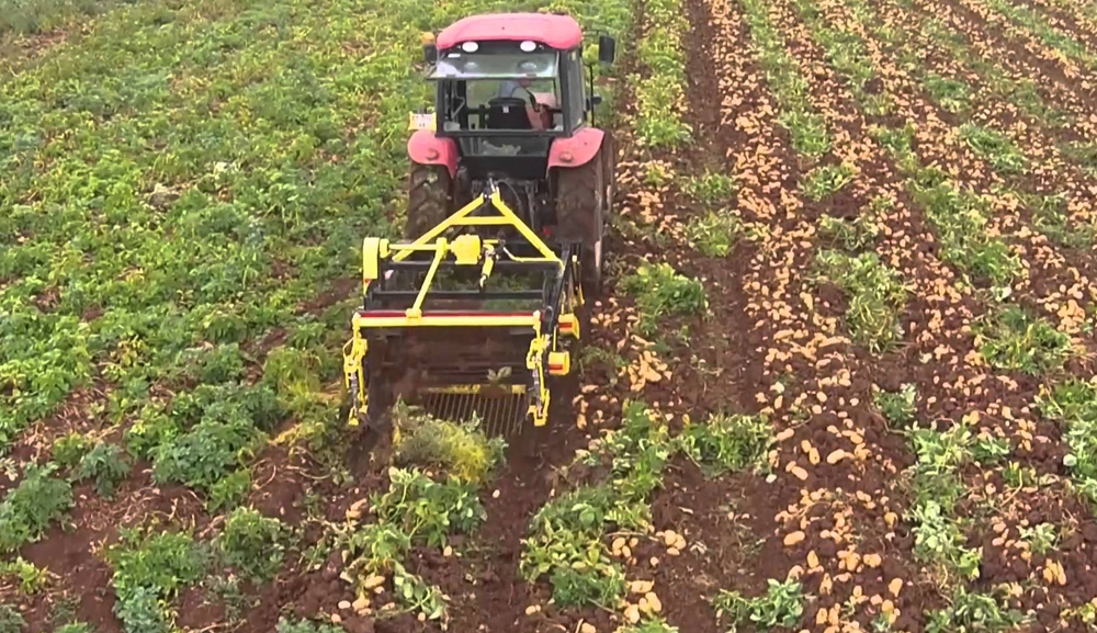 Patates Ekim & Söküm Makina Yedek Parçaları